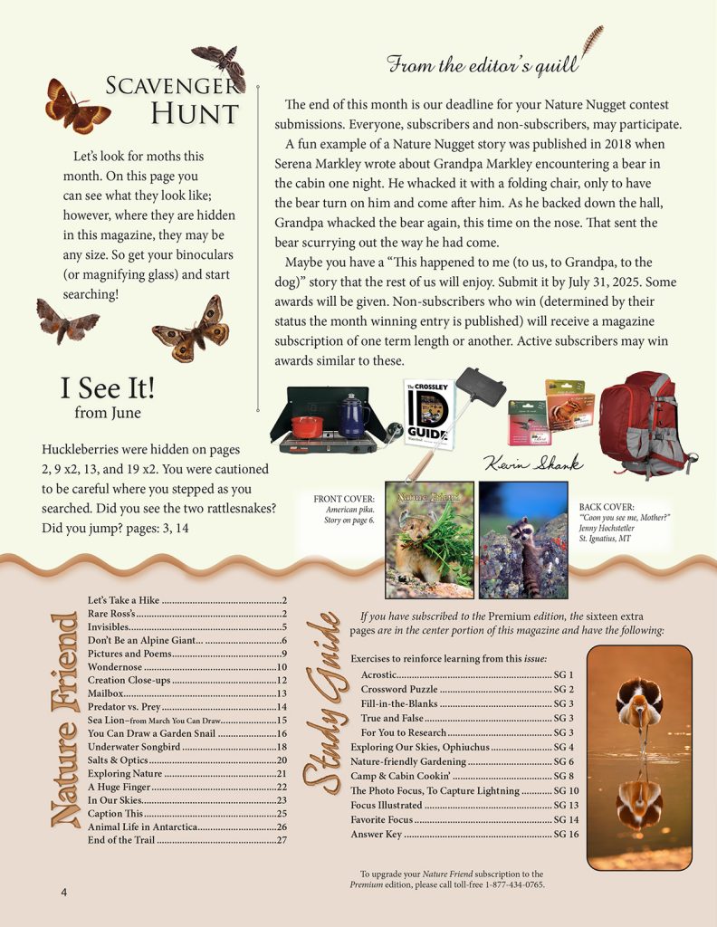 editorial, scavenger hunt puzzle, article index