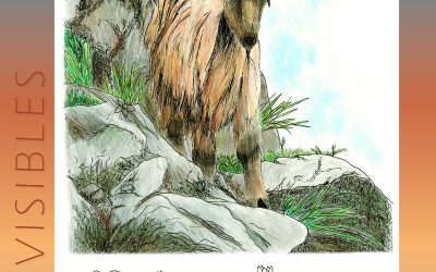 Invisibles, July 2025: Mountain Goat