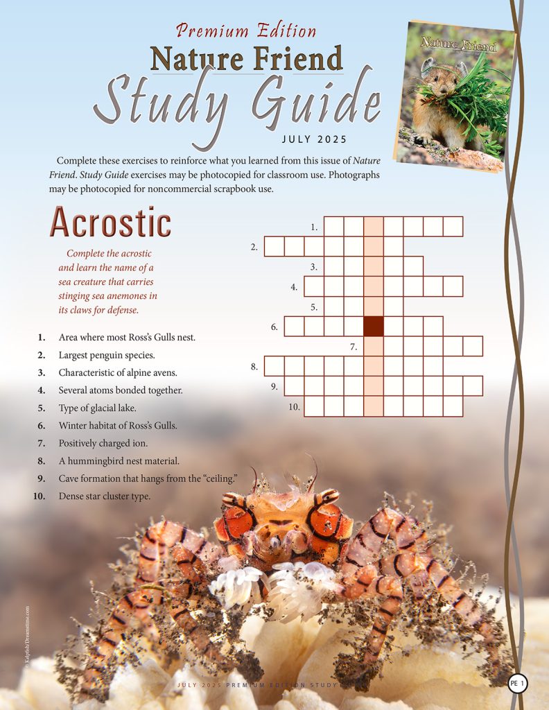 nature acrostic puzzle