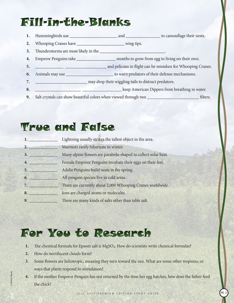 nature puzzles, fill-in-the-blanks, true and false, research questions