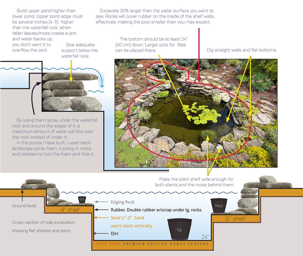 how to build a water garden for wildlife