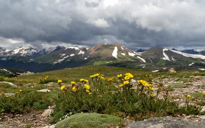 Don’t Be an Alpine Giant…