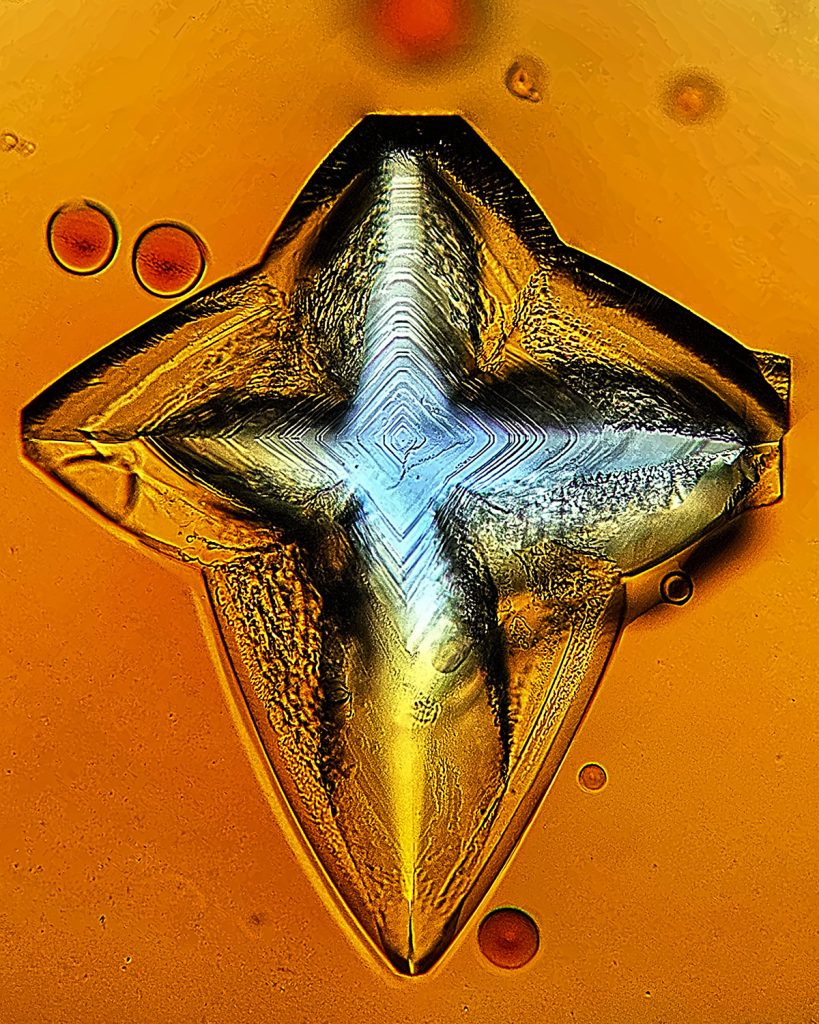cross-shaped sodium chloride crystal in soy sauce solution