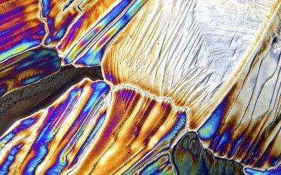 Salts & Optics