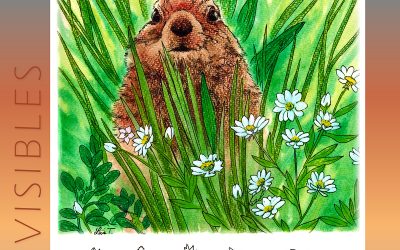 Invisibles, August 2025: Arctic Ground Squirrel