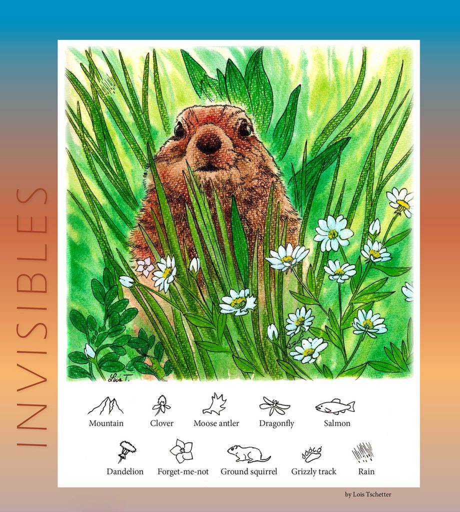 Arctic ground squirrel invisibles puzzle