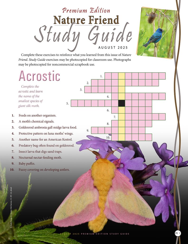 nature acrostic puzzle
