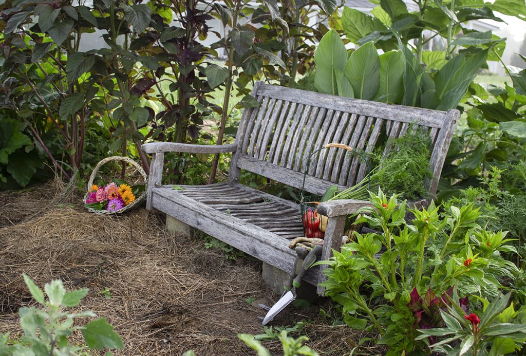 garden bench with flowers and produce