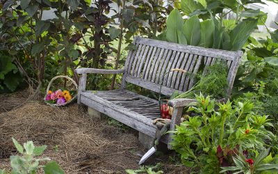 My Garden Bench