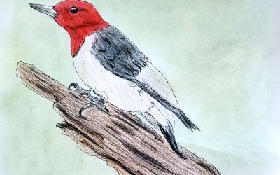 Art & Poetry Submissions, June 2025