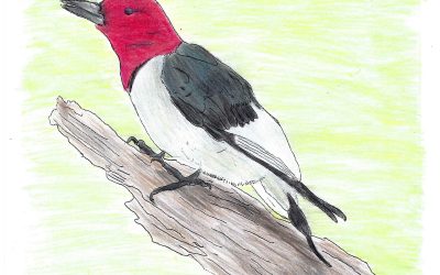 Art & Poetry Submissions, July 2025