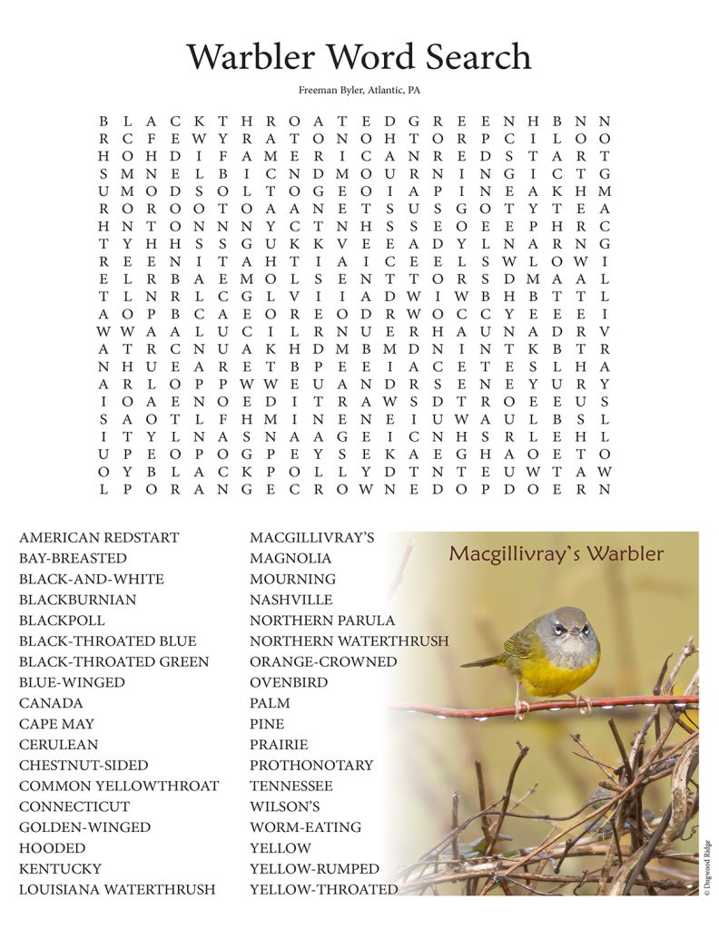 warbler word search