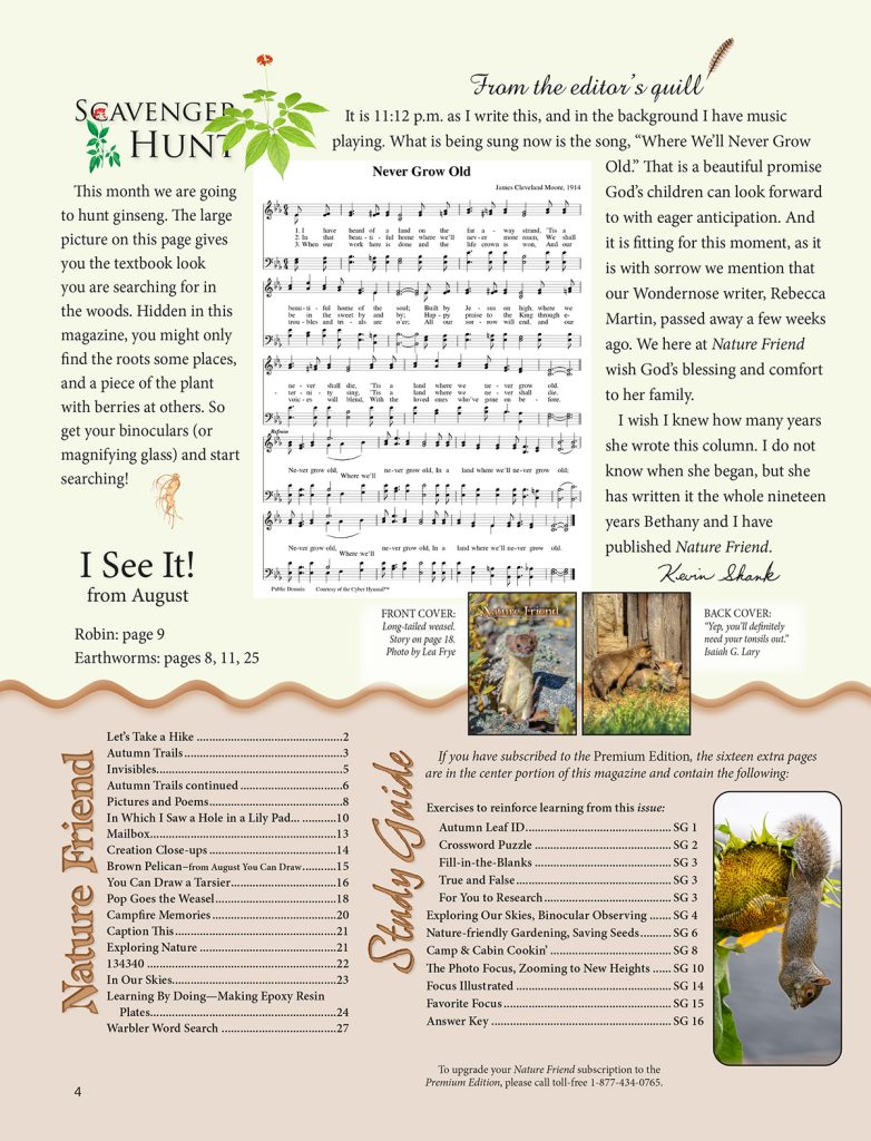 editorial, scavenger hunt puzzle, article index