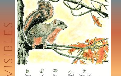 Invisibles, September 2025: Red Squirrel