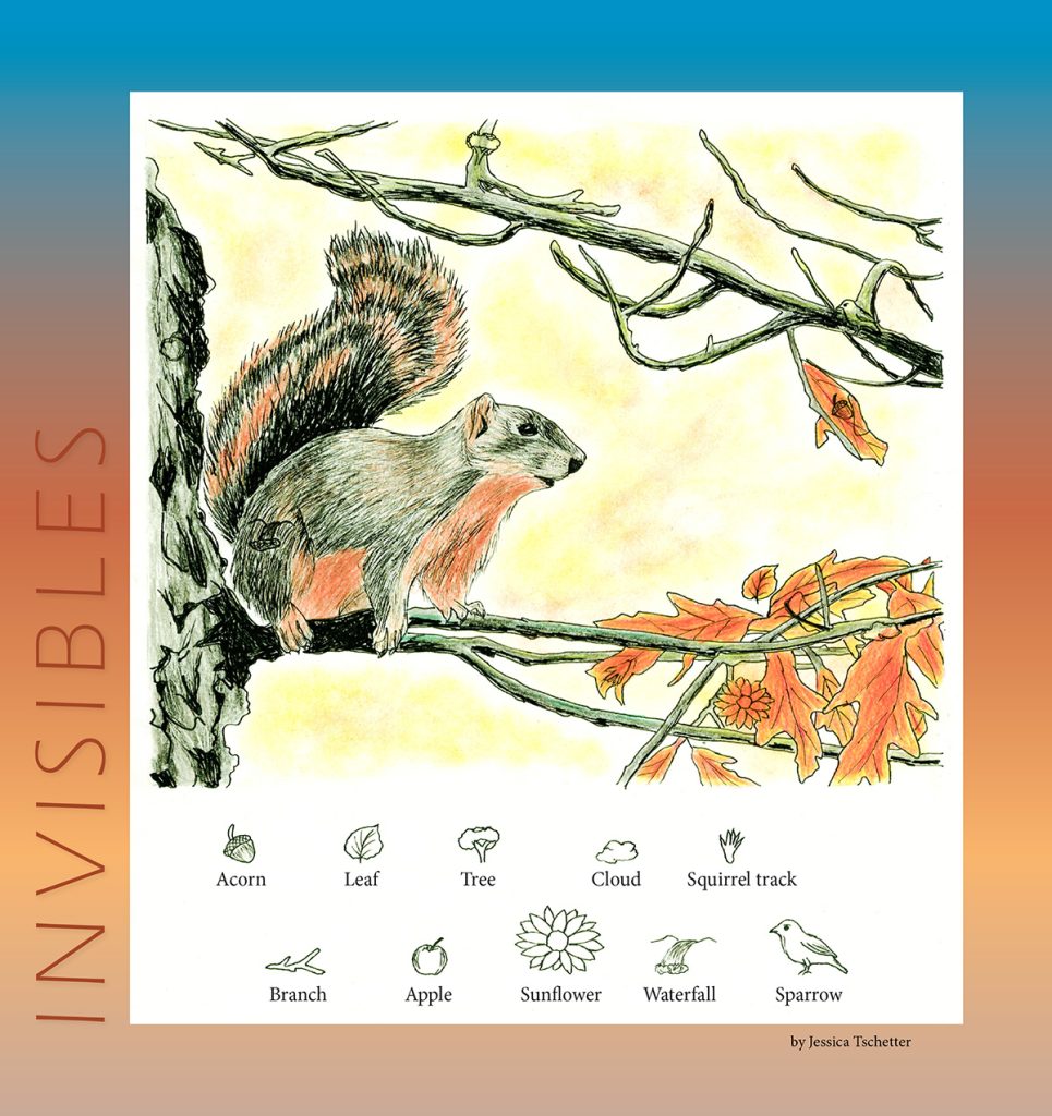 fox squirrel invisibles puzzle