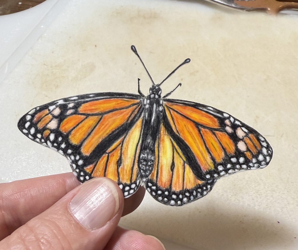 monarch butterfly drawing on drafting fim