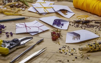 Saving Seeds