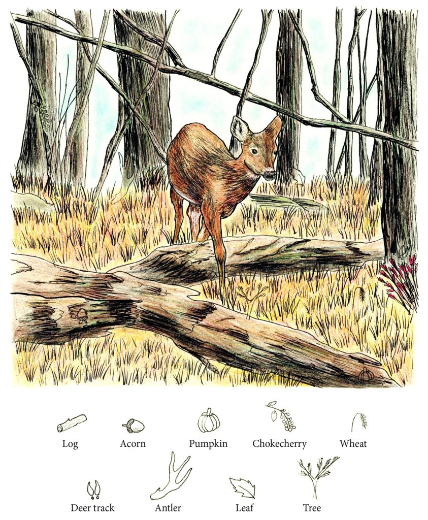 deer invisibles puzzle