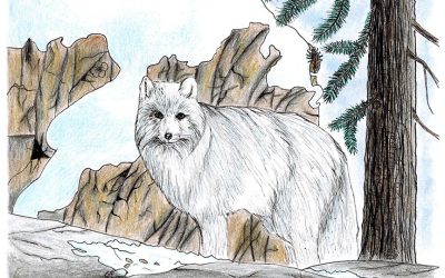 Invisibles, November 2025: Arctic Fox