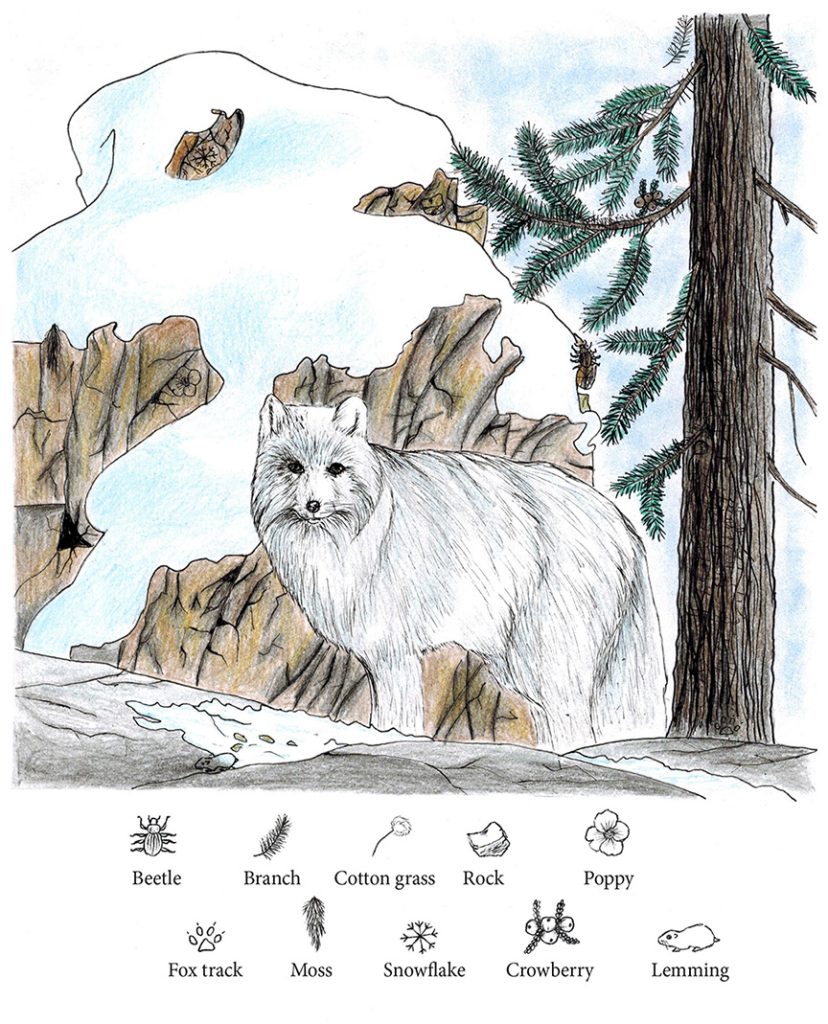 arctic fox invisibles puzzle