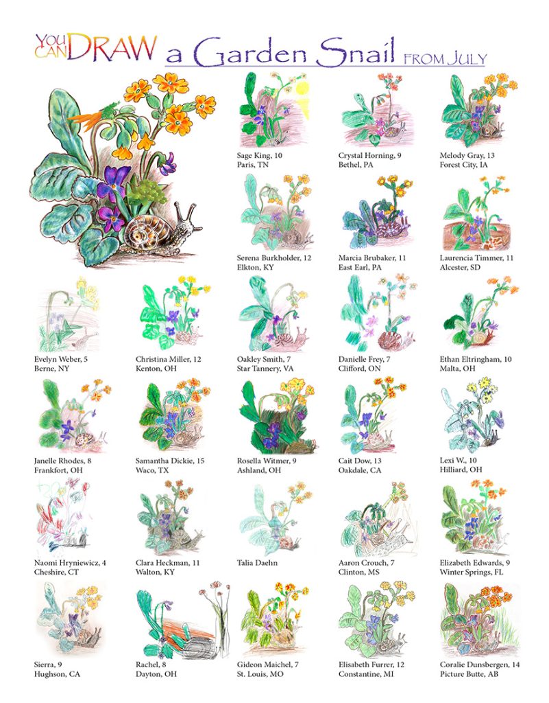 you can draw a garden snail children's artwork submissions