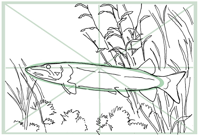 you can draw a muskellunge art lesson step 1