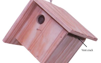 Building a Wren House