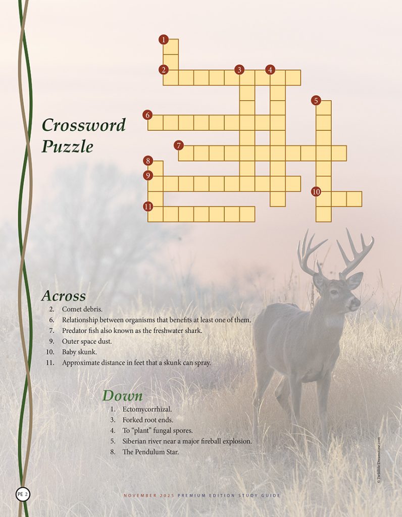 nature crossword puzzle