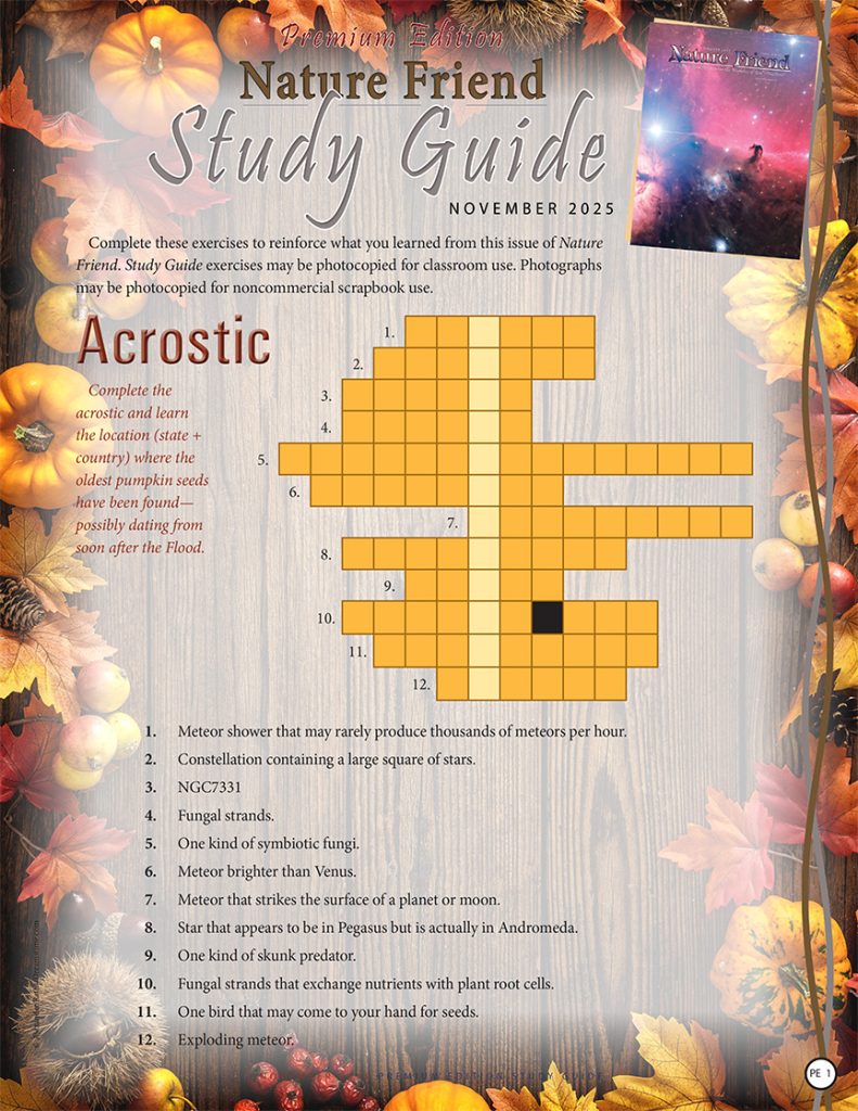 nature acrostic puzzle