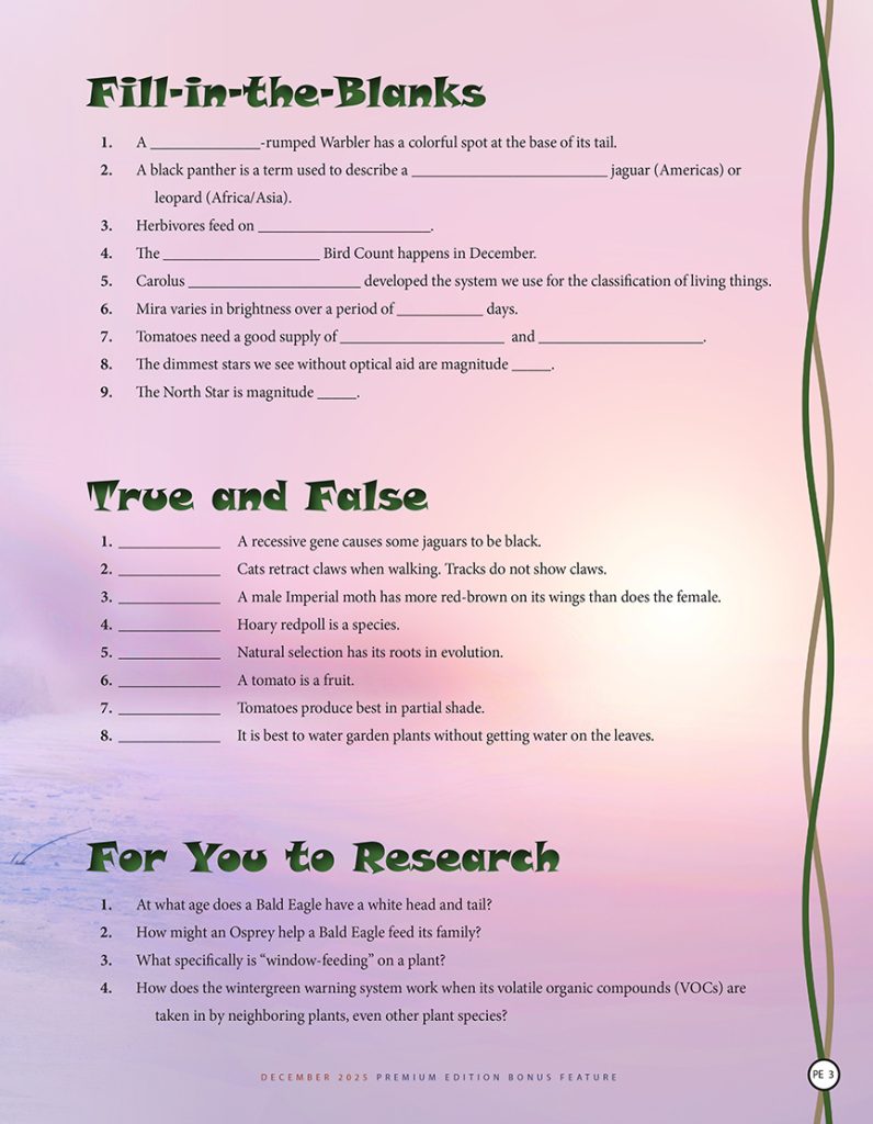 fill-in-the-blanks, true and false, and for you to research questions