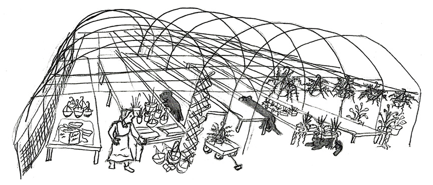 illustration of two black panthers in a greenhouse