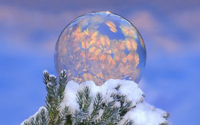 Frozen Soap Bubbles