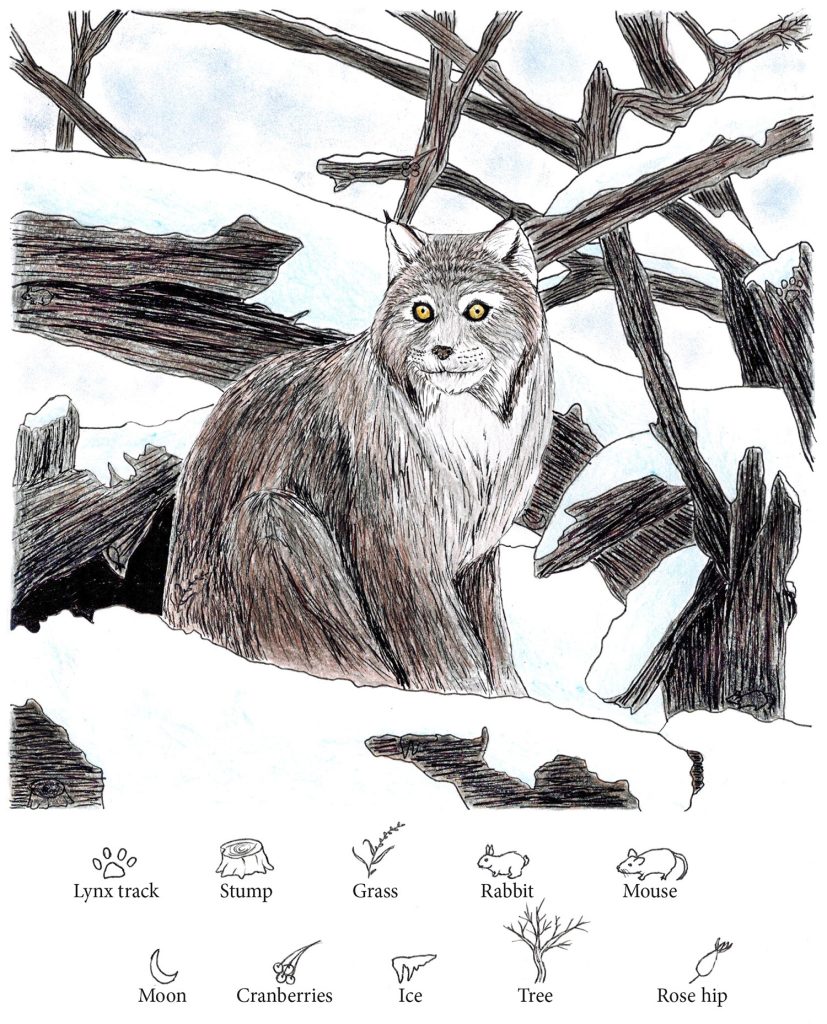 lynx invisibles puzzle