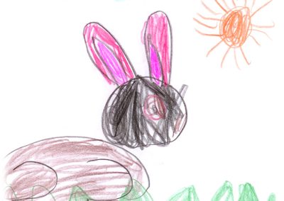 rabbit drawing