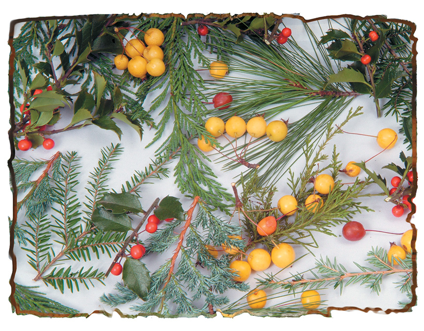 bird food wreath step 1