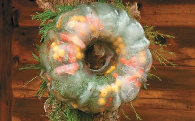 An Ice Green Treat for Wildlife