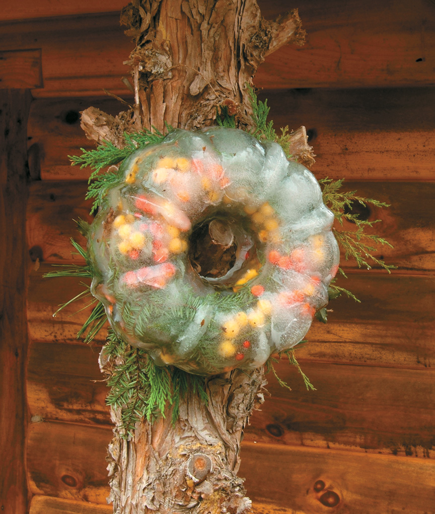 bird food wreath step 4