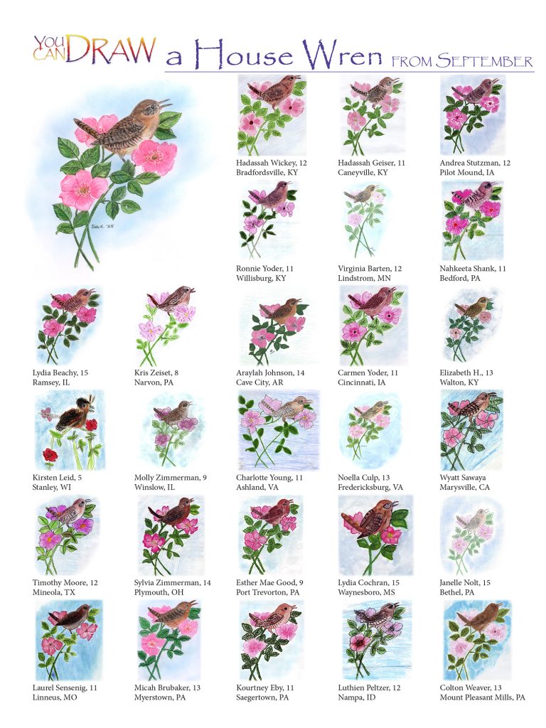you can draw a House Wren children's artwork submissions