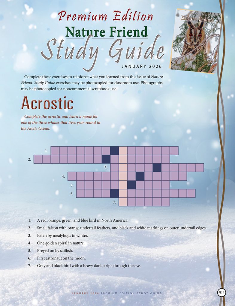 nature acrostic puzzle