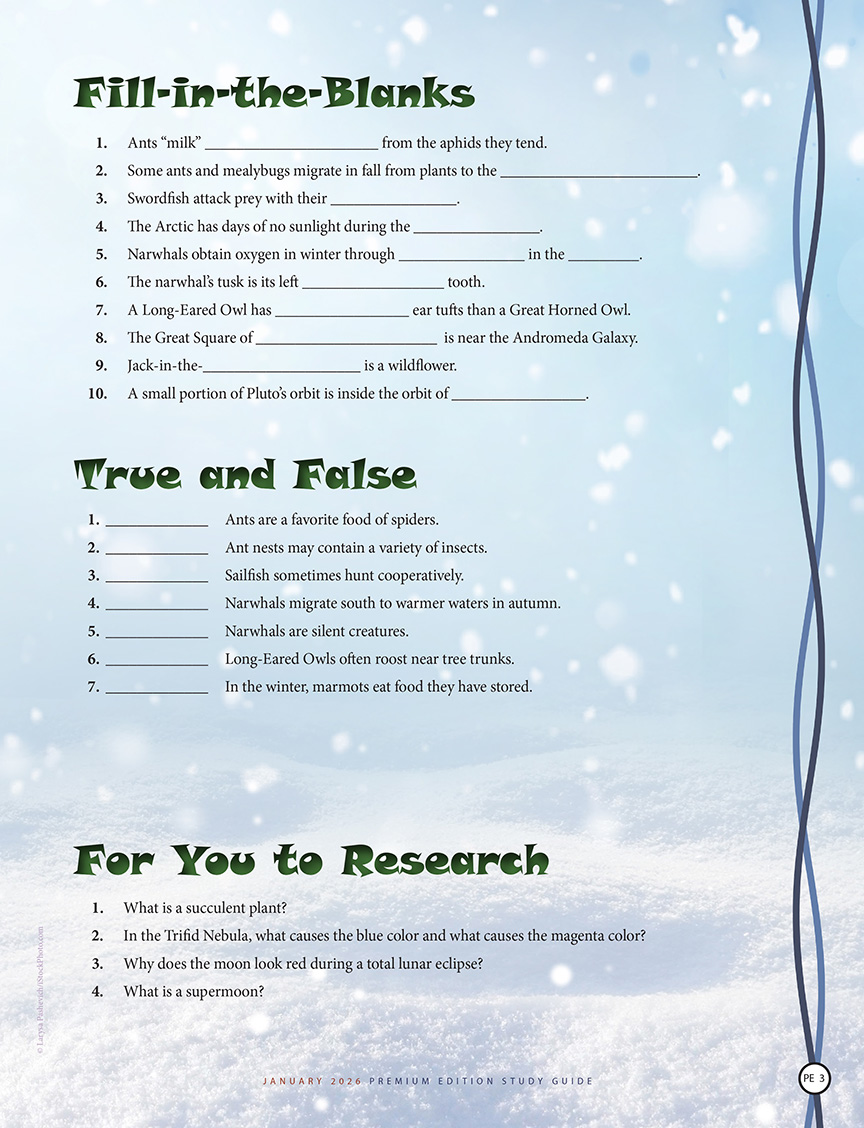 fill-in-the-blanks, true and false, and for you to research questions