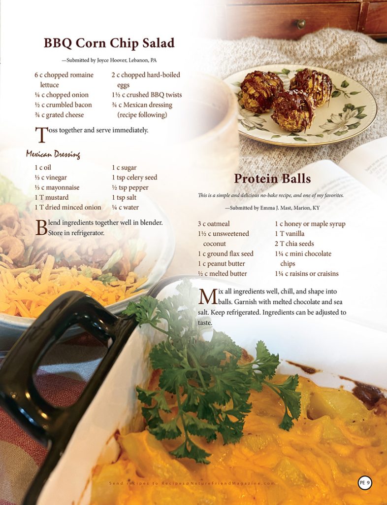 BBQ corn chip salad, Protein balls