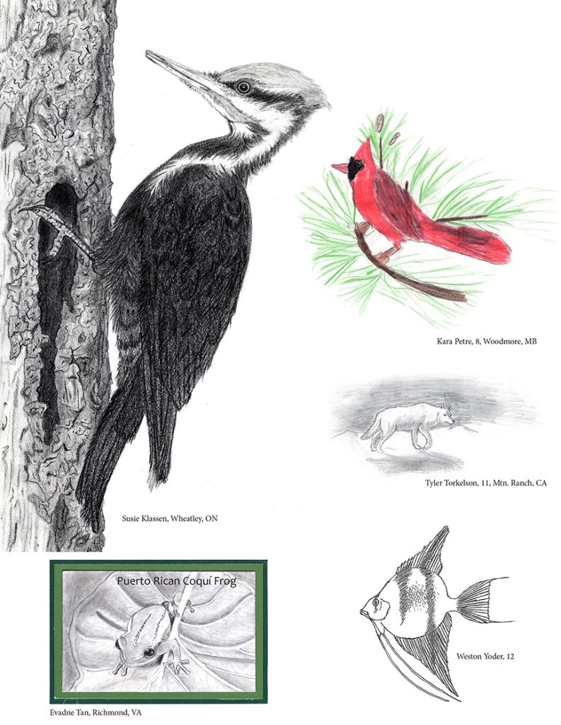 children’s nature artwork and poems