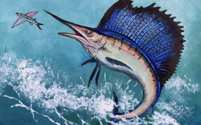 You Can Draw a Sailfish Submissions