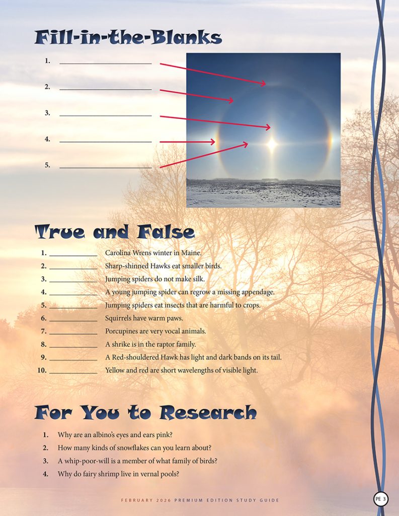 fill-in-the-blanks, true and false, and for you to research questions