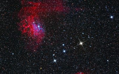 Auriga
