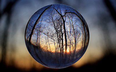 Glass Ball Photography