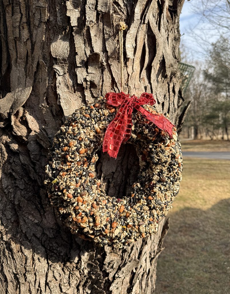 bird suet wreath