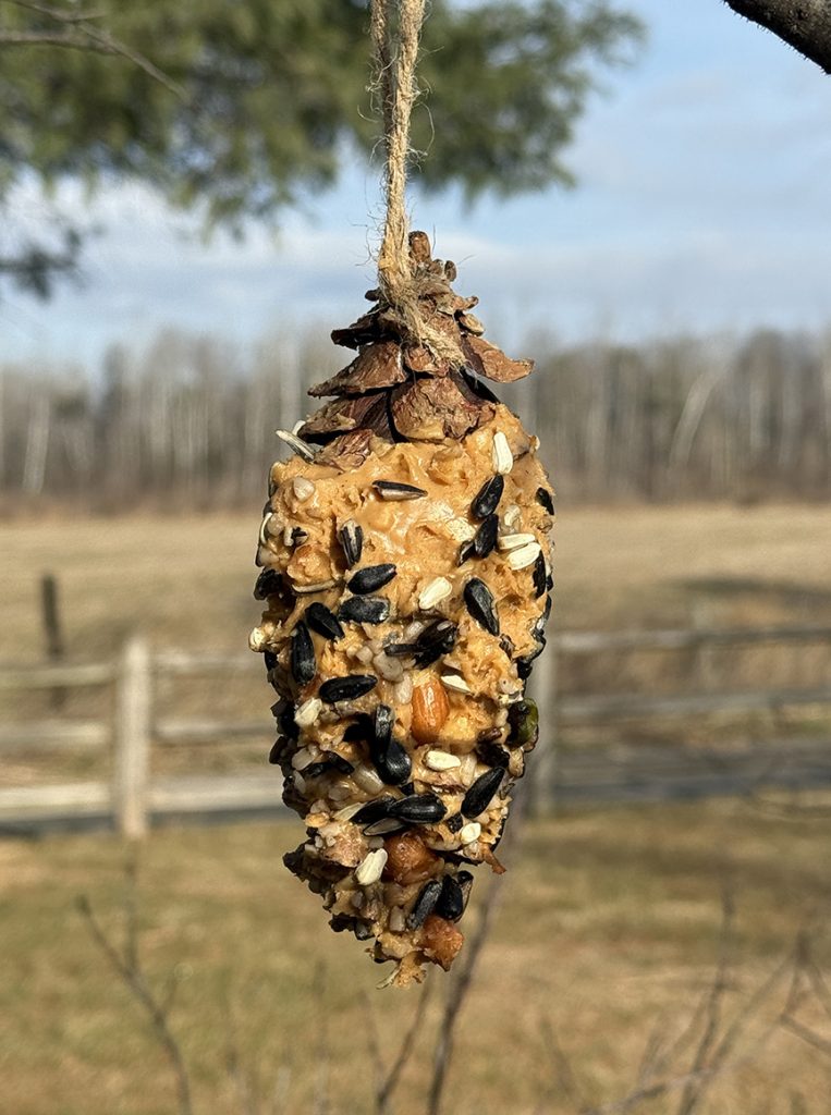 Pine cone Suet feeder