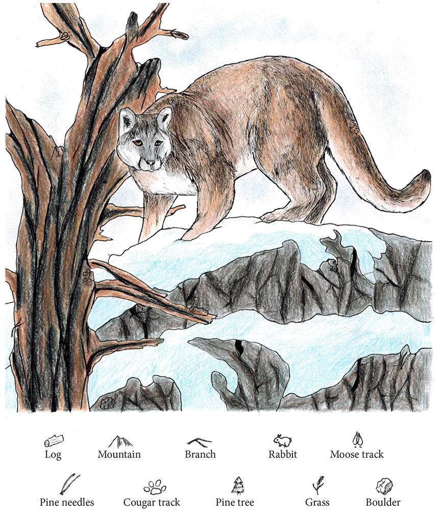 cougar invisibles page