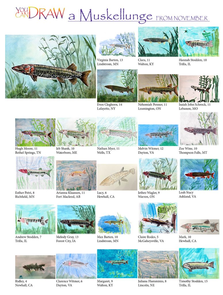 muskellunge drawings from november